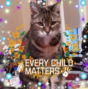 Meet your Posher, Darlene